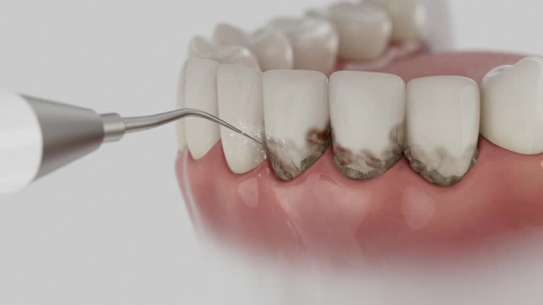 Reliable Dental contractor in Richmond, CA by Dentist Open Now